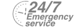 24/7 Emergency Service Pest Control in Clayhall, IG5. Call Now! 020 8166 9746