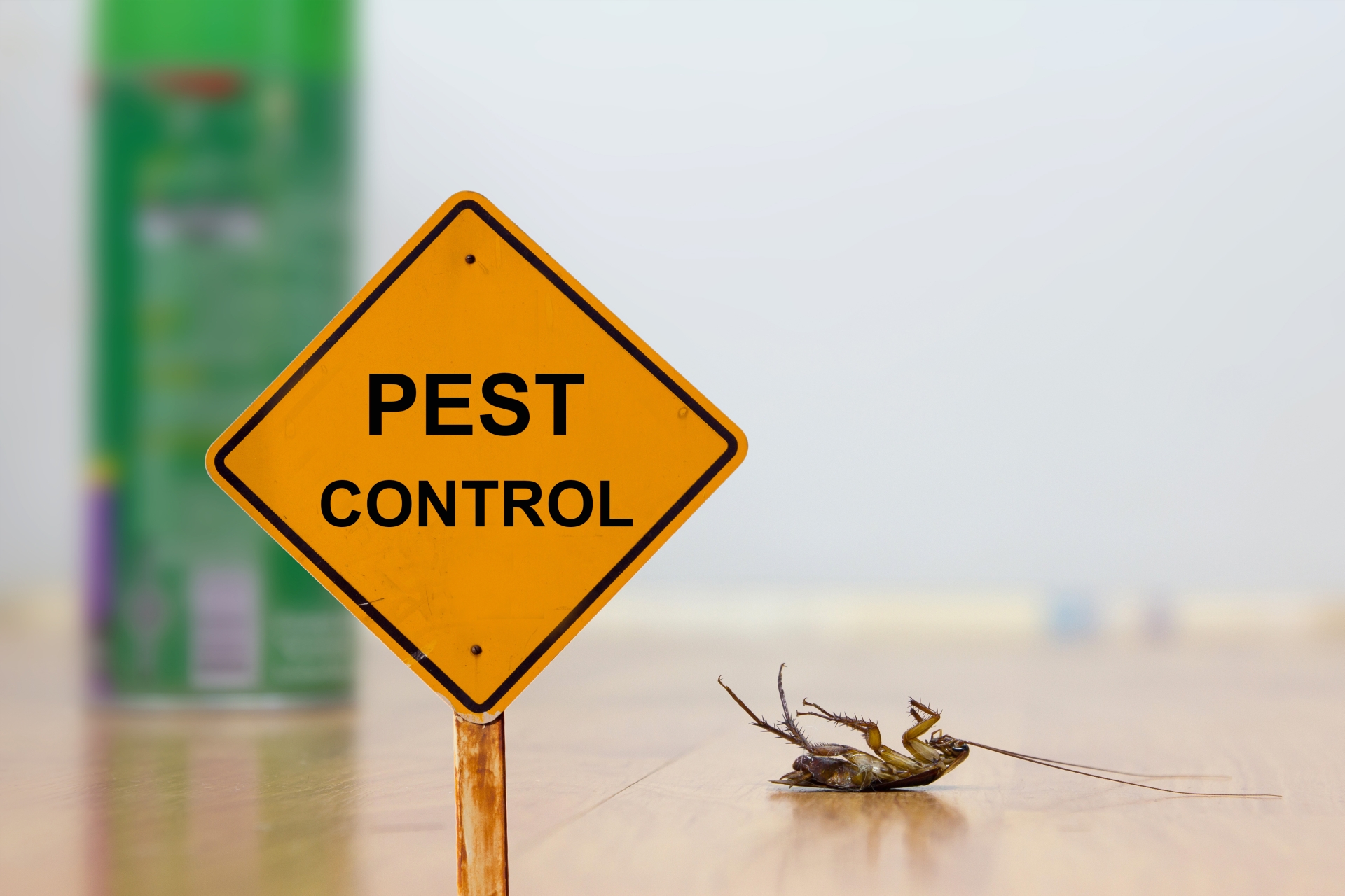 24 Hour Pest Control, Pest Control in Clayhall, IG5. Call Now 020 8166 9746
